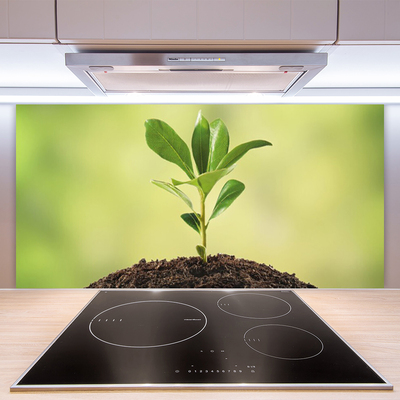 Painel cozinha Crescimento de plantas terrestres