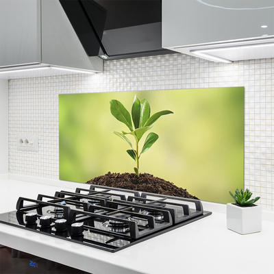 Painel cozinha Crescimento de plantas terrestres