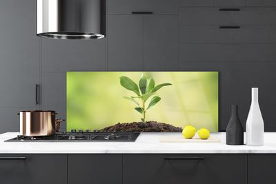 Painel cozinha Crescimento de plantas terrestres