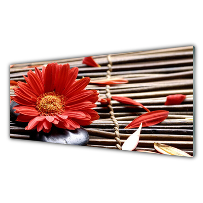 Painel vidro cozinha Flor Planta Natureza