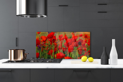 Painel cozinha Papoulas Plantam Natureza