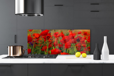Painel cozinha Papoulas Plantam Natureza