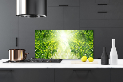 Painel vidro cozinha Folhas Natureza Planta