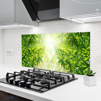 Painel vidro cozinha Folhas Natureza Planta