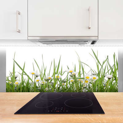 Painel vidro cozinha Natureza da grama margarida