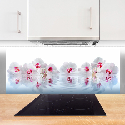 Painel cozinha Flores Plantas Natureza Arte