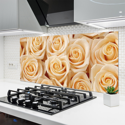 Painel vidro cozinha Planta de flores rosas