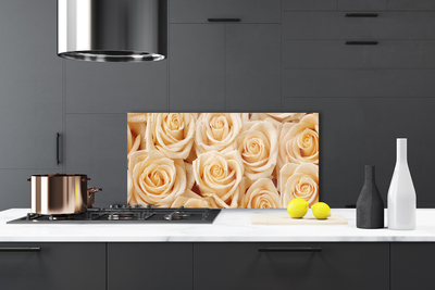 Painel vidro cozinha Planta de flores rosas