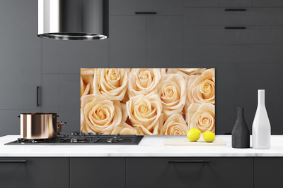 Painel vidro cozinha Planta de flores rosas