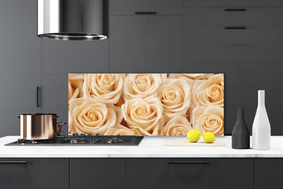 Painel vidro cozinha Planta de flores rosas