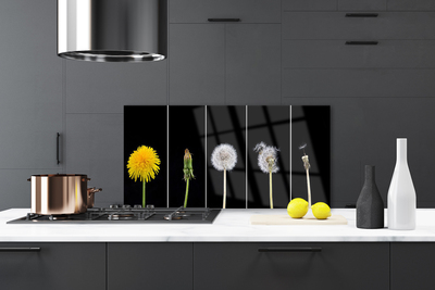 Painel vidro cozinha Planta dente-de-leão