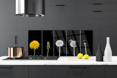 Painel vidro cozinha Planta dente-de-leão