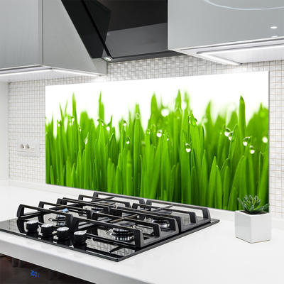 Painel cozinha Grama Natureza Planta