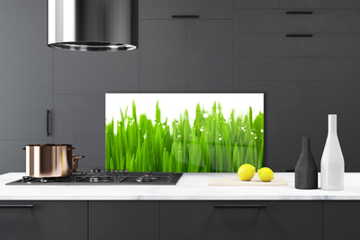 Painel cozinha Grama Natureza Planta