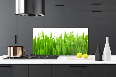 Painel cozinha Grama Natureza Planta