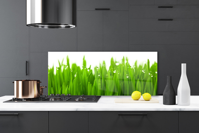 Painel cozinha Grama Natureza Planta