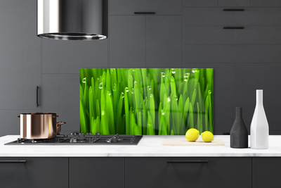 Painel vidro cozinha Grama Natureza Planta