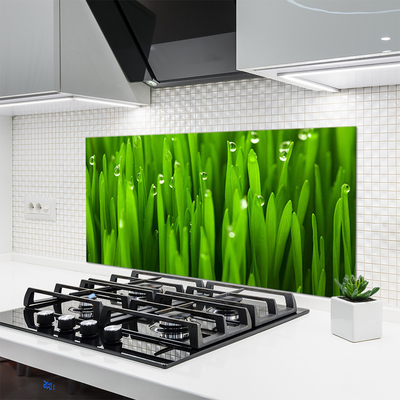 Painel vidro cozinha Grama Natureza Planta