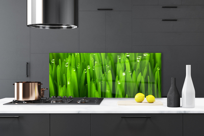 Painel vidro cozinha Grama Natureza Planta