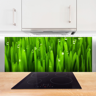 Painel vidro cozinha Grama Natureza Planta