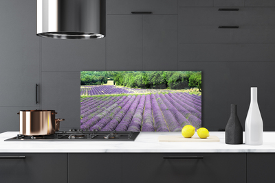 Painel vidro cozinha Flores do Prado Natureza Planta