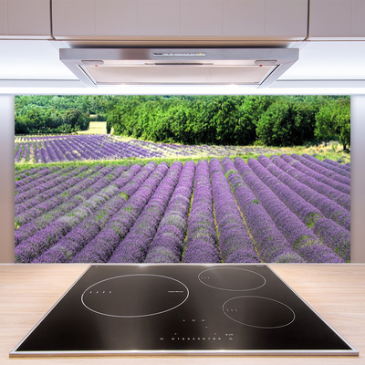 Painel vidro cozinha Flores do Prado Natureza Planta