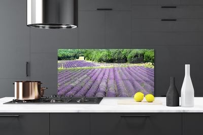 Painel vidro cozinha Flores do Prado Natureza Planta