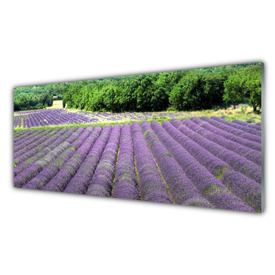 Painel vidro cozinha Flores do Prado Natureza Planta