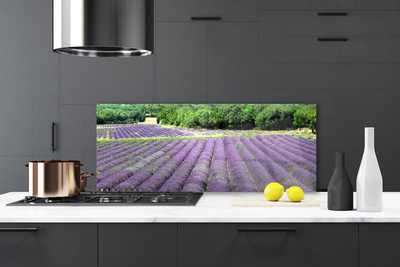 Painel vidro cozinha Flores do Prado Natureza Planta