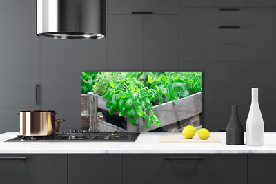 Painel cozinha Folhas Natureza Planta