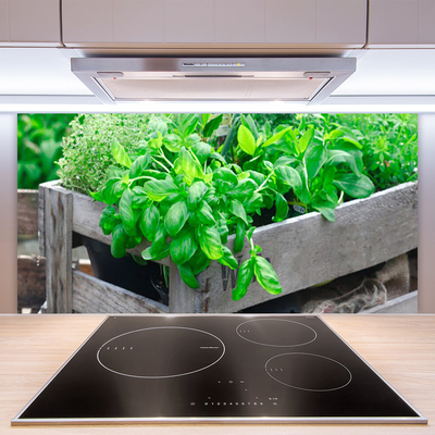 Painel cozinha Folhas Natureza Planta