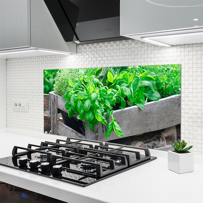 Painel cozinha Folhas Natureza Planta