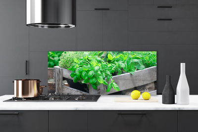Painel cozinha Folhas Natureza Planta