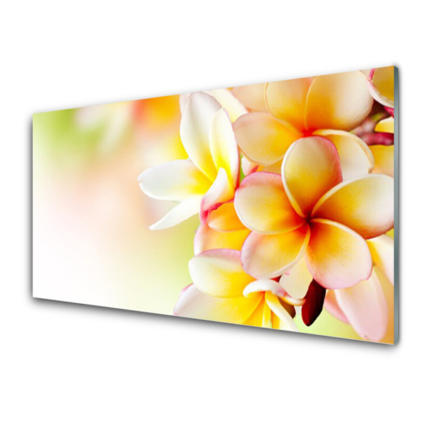 Painel vidro cozinha Flores Planta Natureza