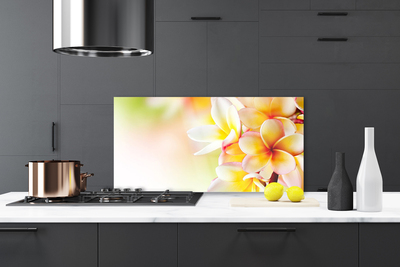 Painel vidro cozinha Flores Planta Natureza