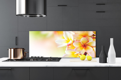 Painel vidro cozinha Flores Planta Natureza