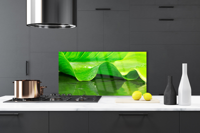 Painel cozinha Folha Planta Natureza
