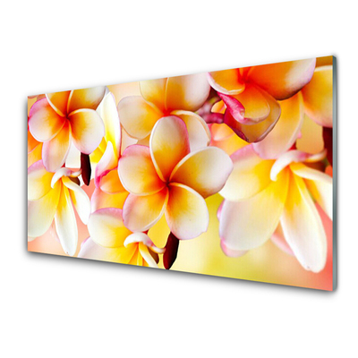 Painel cozinha Flores Planta Natureza