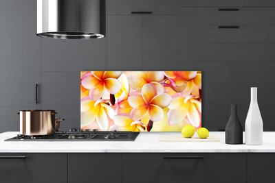 Painel cozinha Flores Planta Natureza