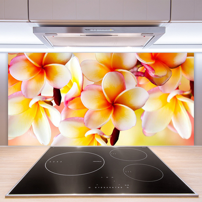 Painel cozinha Flores Planta Natureza