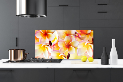 Painel cozinha Flores Planta Natureza