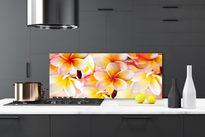 Painel cozinha Flores Planta Natureza
