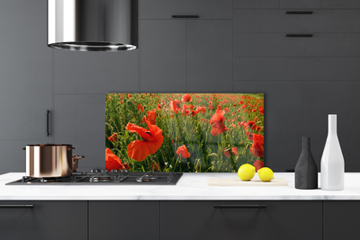 Painel cozinha Papoulas Plantam Natureza