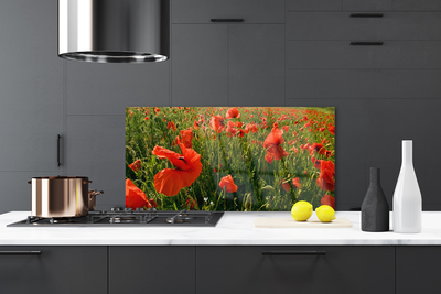 Painel cozinha Papoulas Plantam Natureza