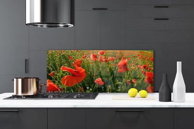 Painel cozinha Papoulas Plantam Natureza