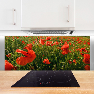 Painel cozinha Papoulas Plantam Natureza