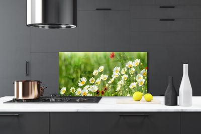 Painel cozinha Natureza da planta margarida