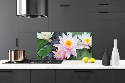 Painel vidro cozinha Flores Planta Natureza
