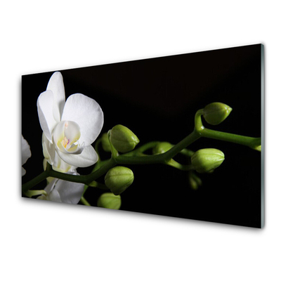 Painel cozinha Flor Planta Natureza