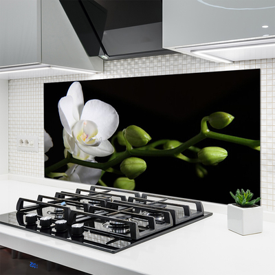 Painel cozinha Flor Planta Natureza